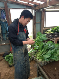 活動写真5