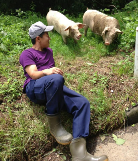 活動写真3